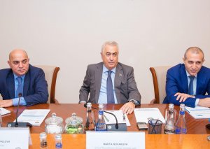 Cavid Qurbanov Çexiyanın sənaye və ticarət naziri ilə görüşüb
