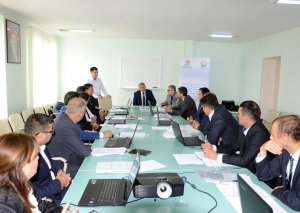 Məşğulluq orqanları əməkdaşları üçün peşəyönümü işinə dair təlimlərə başlanılıb