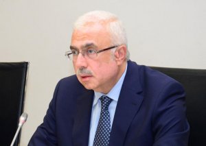 Nazir müavini: Azərbaycan Türkiyə iqtisadiyyatına 14,5 milyard dollar investisiya yerləşdirib