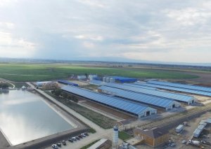 Nazir müavini: İlin sonunadək Azərbaycanda 13 aqropark yaradılacaq