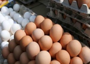 Yumurta qıtlığının səbəbləri