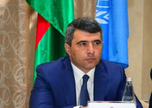 Nazir: Azərbaycan və Türkiyə birgə kənd təsərrüfatı müəssisələri yarada bilər