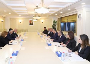 Azərbaycan Asiya İnkişaf Bankı ilə əmək, məşğulluq, sosial müdafiə sahəsində əməkdaşlığı genişləndirir