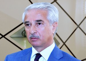 Nazir müavini: Bir sıra iri müəssisələr öz biznesini ayrı-ayrı xırda hissələrə "parçalayaraq" bəzi vergiləri ödəməkdən yayınırlar