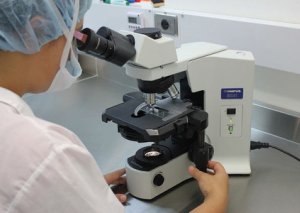 Xərçəng riskini artıran ərzaq - Hər gün istifadə edirik