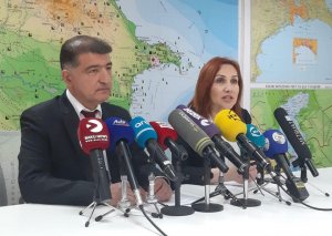 Firdovsi Əliyev: Sahibkarlar meşə fondunun açıq sahələrini icarəyə götürə bilər