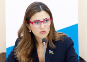 Millət vəkili: Azərbaycan qonşu Ermənistanın “hibrid müharibə” hücumları ilə dəfələrlə üzləşib