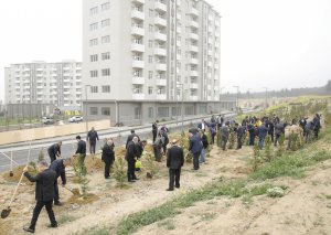 MİDA Heydər Əliyevin doğum gününə həsr olunmuş ağacəkmə aksiyası keçirib