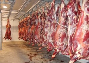 Azərbaycan Ukraynadan 5 mln. dollarlıq dondurulmuş mal əti idxal edib