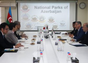 Azərbaycanla Yaponiya ekoturizm sahəsində əməkdaşlıq imkanları müzakirə olunub
