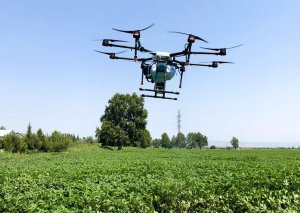 Azərbaycanda ilk dəfə olaraq dron vasitəsi ilə kimyəvi mübarizə aparılıb