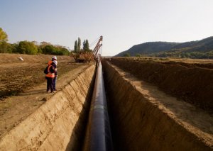 TAP Avropa iqtisadiyyatının proqressiv dekarbonizasiyasına böyük töhfə verəcək