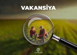 Nazirlik işçi axtarır - 151 vakansiya var