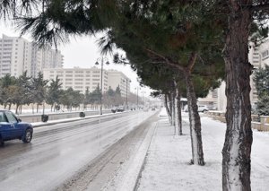 Dövlət qurumları qışa hazırlaşıb qarı gözləyirlər