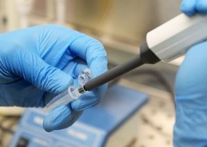 COVID-19 peyvəndinin sınağı üçün “ideal” heyvanın adı açıqlandı