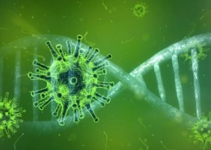 Koronaviruslu xəstələri onların öz immun sistemi öldürürmüş