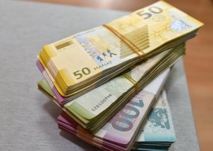 Bu günə qədər neçə muzdlu işçinin əmək haqqı kompensasiya edilib?