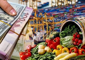 Birinci rübdə ən çox ixrac olunan qeyri-neft məhsulları açıqlandı