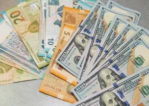 “Dolların bahalaşması ilə bağlı gözlənti təbiidir”
