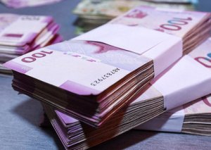 Pandemiyaya görə zərər görmüş sahibkarlara 96 milyon manat dəstək verilib
