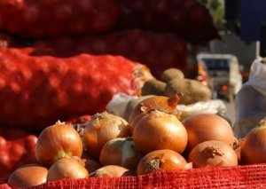 Azərbaycan ərəb ölkələrinə soğan ixracına başladı