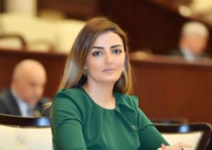 Könül Nurullayeva: "Yeni xəstəxanaların istifadəyə verilməsi virusla mübarizə imkanlarını genişləndirir"