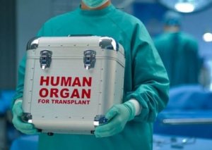 Ötən il Azərbaycanda 299 transplantasiya əməliyyatı keçirilib