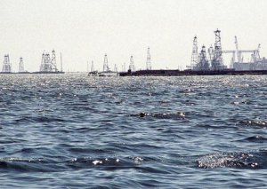Xəzərdəki göy-yaşıl yosunlar neft platformalarında metalların korroziyasına səbəb olur