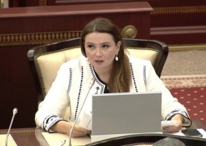 "Vasitəçi işğalçını silahlandırmalıdırmı?" - Qənirə Paşayeva yazır
