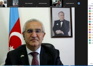 Səfir Elxan Poluxov Braziliyada videokonfransda iştirak etdi - Foto