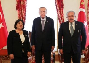 Sahibə Qafarova Rəcəb Tayyib Ərdoğanla görüşüb