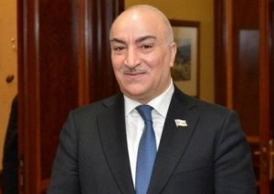 Deputat: “İnsan haqlarının qorunmasında ictimai nəzarət orqanlarının rolu böyük ola bilər”