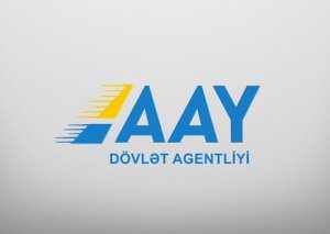 AAYDA: "Heç bir vətəndaşa zor tətbiq edilə bilməz"