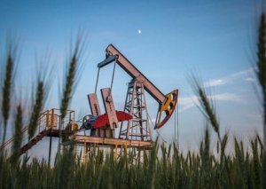 Qlobal neft tədarükü 2035-ci ildə sutkada 109 milyon barreli ötəcək