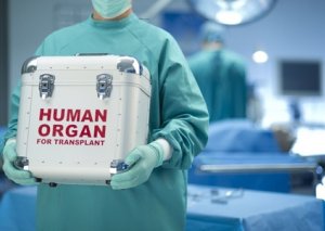 Milli Məclis orqan transplantasiyası ilə bağlı qanun layihəsini qəbul etdi