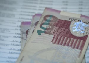Şəhid ailəsi və qazilərin kredit borcları gündəmdə - təkliflər