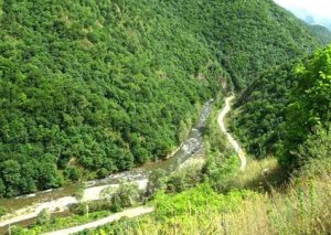 Yaxın illərdə Qarabağ Azərbaycan turizmində öz hegemonluğu ilə seçiləcək