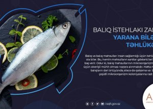 Balıq istehlakı zamanı yarana biləcək təhlükələr açıqlanıb