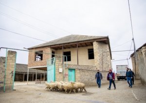 700-dən çox münaqişədən zərər çəkən özünüməşğulluq proqramına cəlb edilib