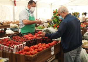 Bakıda və Abşeronda Yeni illə bağlı bayram yarmarkası 3 ünvanda olacaq