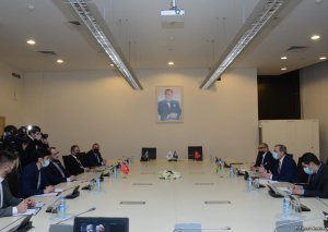 Türkiyə şirkətləri azad edilmiş ərazilərin bərpasına dəstək üçün Azərbaycana gəlib (FOTO)