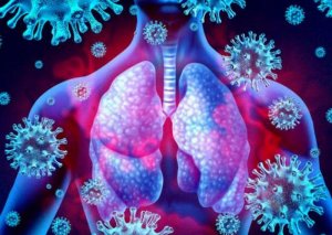 Koronavirus orqan və toxumalarında hansı dəyişikliklər törədir?