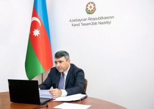 Çəltik istehsalı ilə bağlı onlayn müşavirə keçirilib (FOTO)