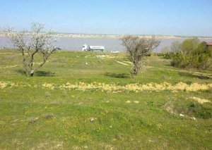 Bakıda torpaq bazarında təklif azalır, qiymətlər bahalaşır