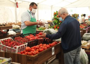 “Kənddən Şəhərə” həftəsonu yarmarkaları yenidən təşkil olunacaq