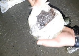 Polis narkotacirlərə qarşı əməliyyat keçirdi