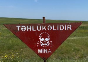 Qarabağda minaların təmizlənməsinə sərf edilən vəsaitin məbləği məlum olub