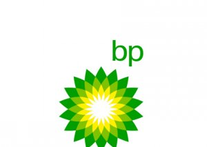 BP SWAP layihəsi çərçivəsində ikinci quyu üçün ekolji qiymətləndirmənin nəticələrini açıqlayacaq
