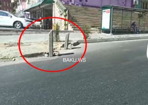 Bakıda salınan yol çıxıntıları barədə RƏSMİ AÇIQLAMA VİDEO