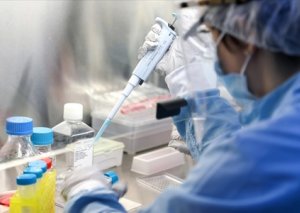 Koronavirusun süni yaradılması iddiasını gücləndirən daha bir ehtimal